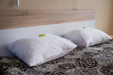 Фото номера Стандартный одноместный номер Отель Hotell Tamula г. Выру 24