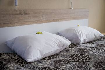 Фото номера Стандартный одноместный номер Отель Hotell Tamula г. Выру 16