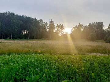 Фото номера Вилла с 3 спальнями Виллы House with sauna in a scenic location г. Выру 40