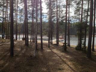 Фото Гостевой дом Oksa Home Accommodation г. Выру